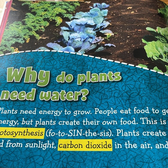 Fly Guy Presents Why Fly Guy? A Big Question & Answer Book by Tedd Arnold - Picture 6 of 10